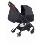 fraai in de twinlink meerling kinderwagen